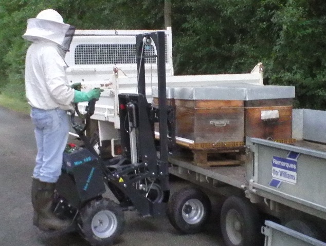 transhumance apicole par palette de 2 ou 4 ruches avec un chariot lectrique ou brouette lectrique Extramate