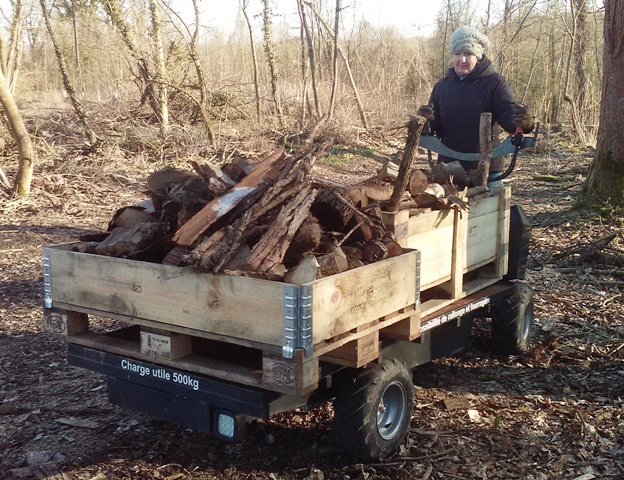 transport de palox de bois avec un plateau lectrique Extramate