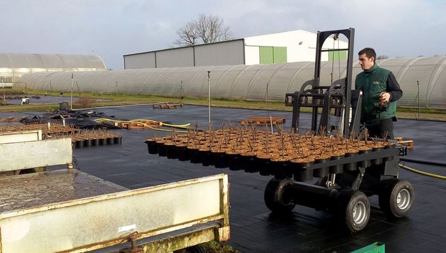 fourche  pots horticoles Extramate pour 84 pots de 3 litres dplacement sur bache