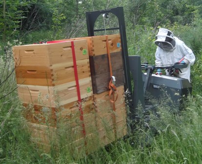 beehive on electric carrier