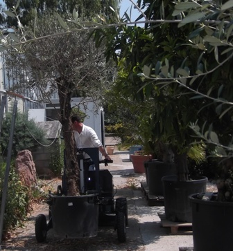 move the nursery container with electric carrier Extramate